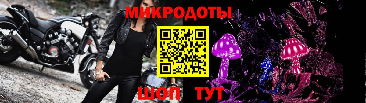Псилоцибиновые грибы Psilocybine cubensis Калуга