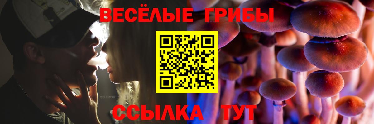 Калуга  Псилоцибиновые грибы Cubensis  Вход с VPN 
